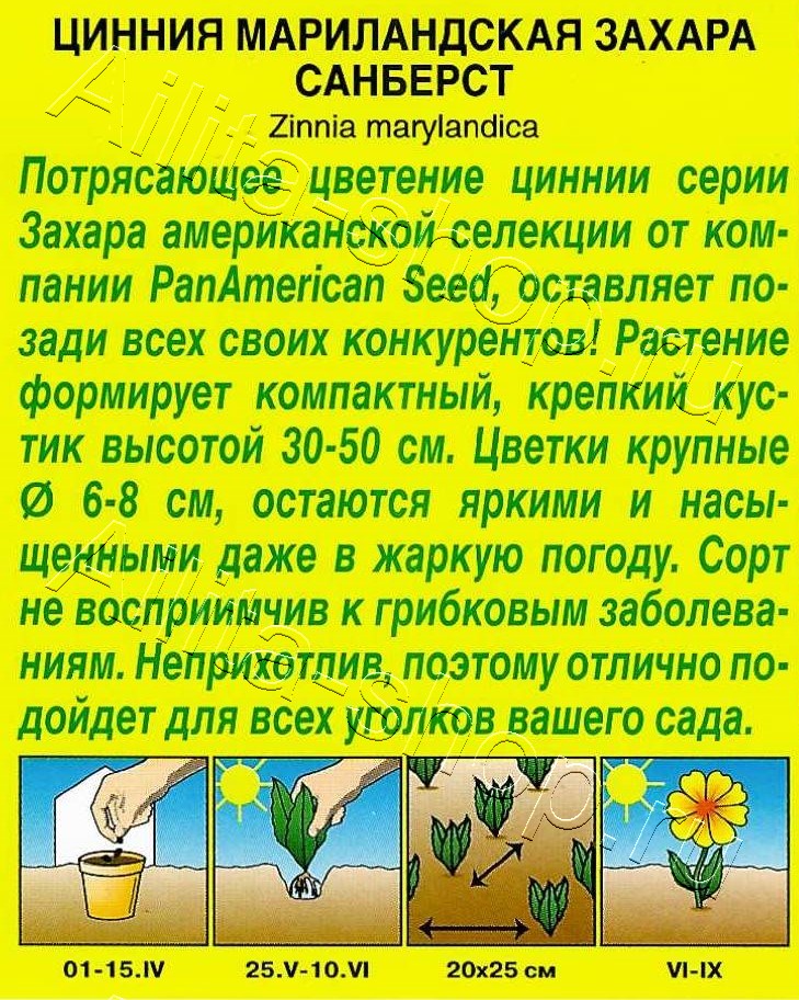 Цинния Захара санберст 5шт