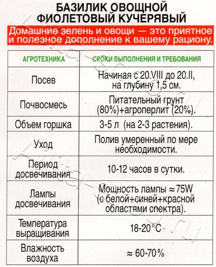 Базилик овощной Фиолетовый кучерявый 0,2г