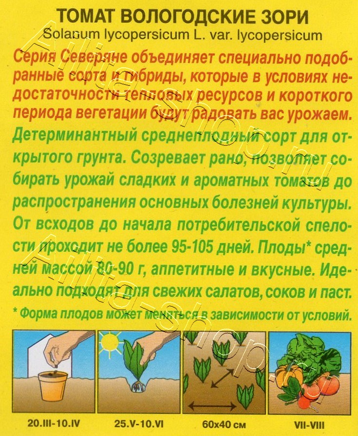 Томат Вологодские зори 20шт