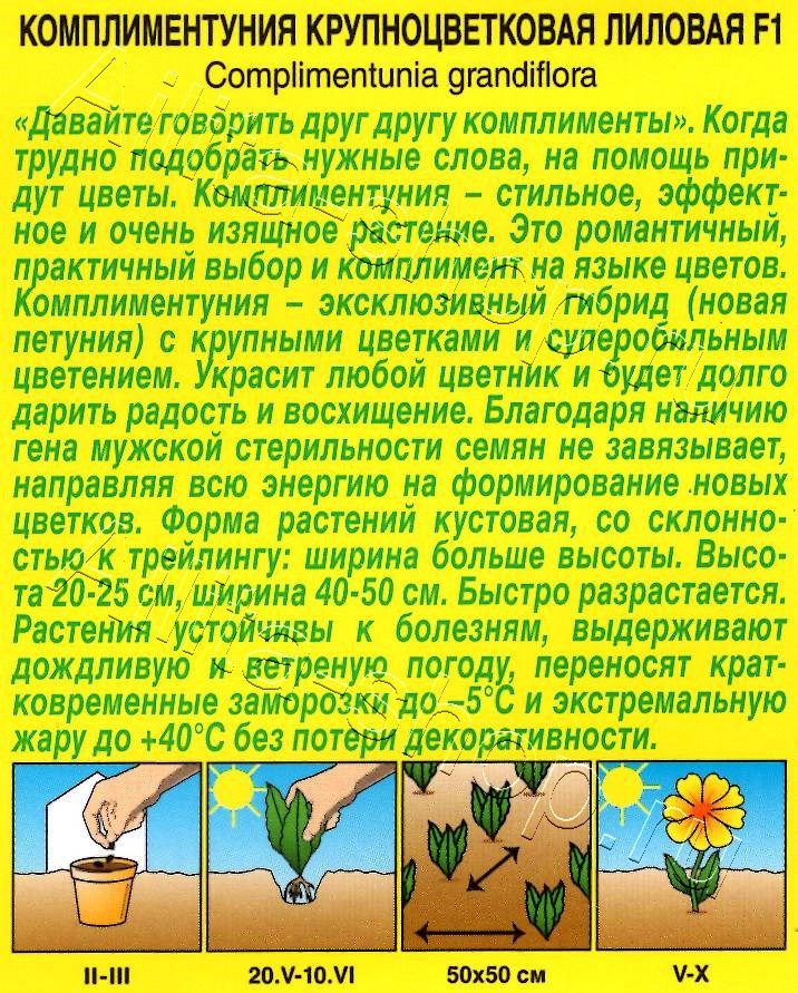 Комплиментуния лиловая F1 крупноцветковая 10шт