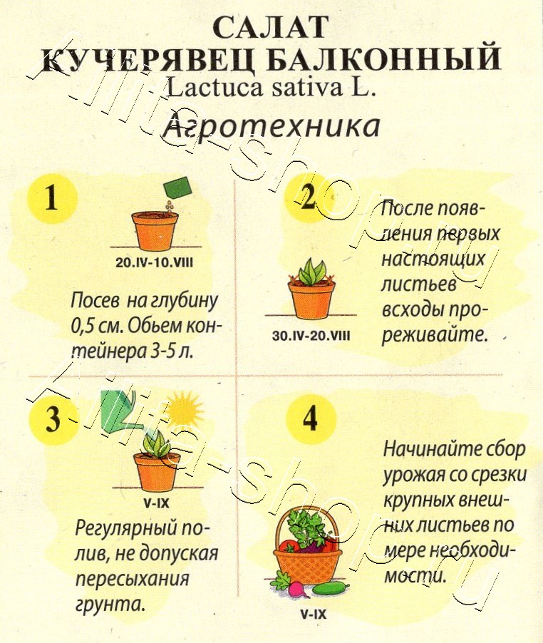 Салат Кучерявец балконный 0,5г