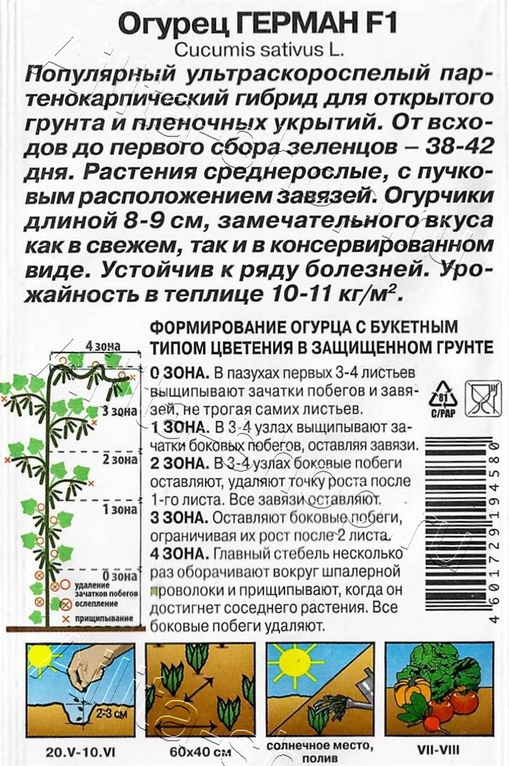 Огурец Герман F1 6шт