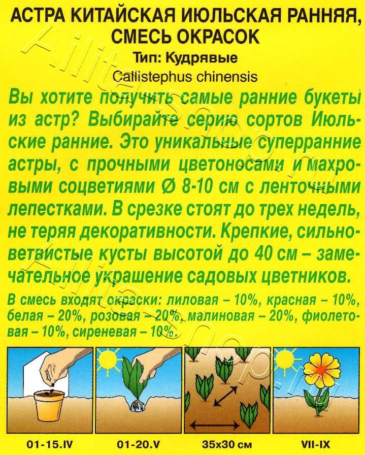 Астра Июльская ранняя, смесь окрасок 0,2г