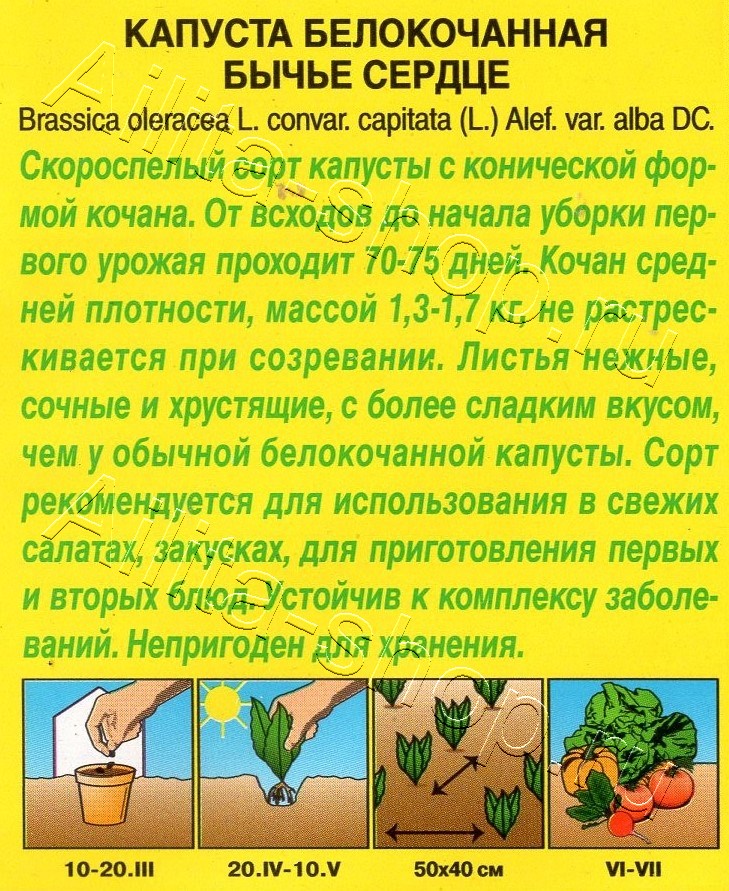 Капуста белокочанная Бычье сердце 0,2г