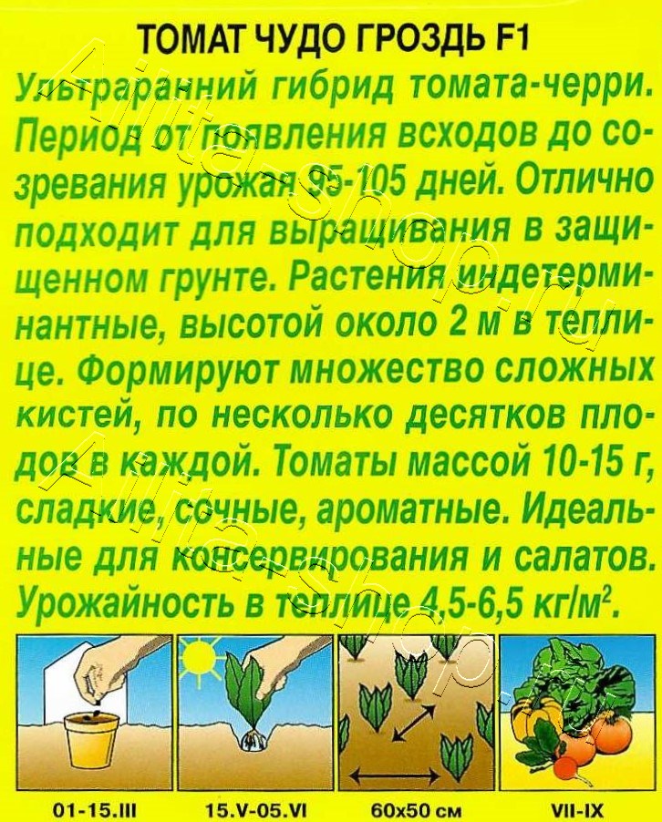 Томат Чудо гроздь F1 20шт