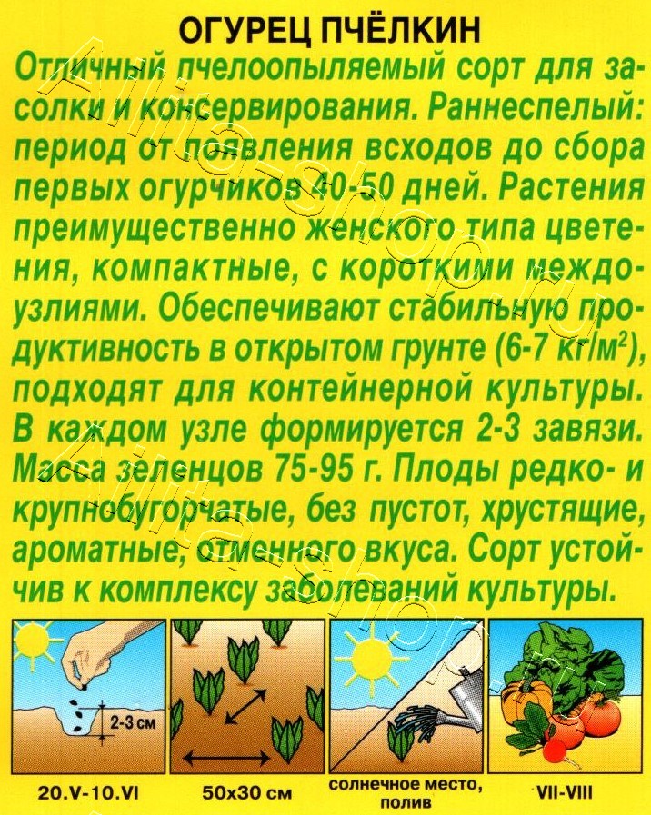 Огурец Пчелкин 10шт