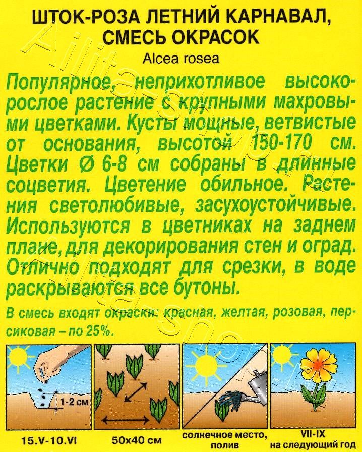 Шток-роза Летний карнавал, смесь окрасок 0,3г