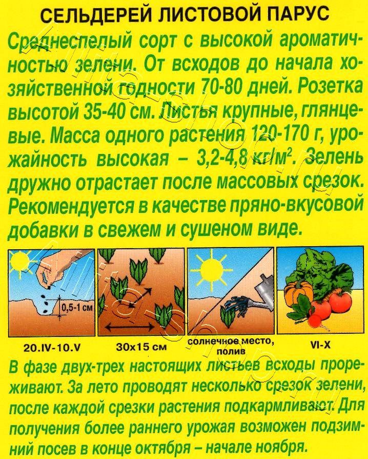 Сельдерей листовой Парус 0,5г