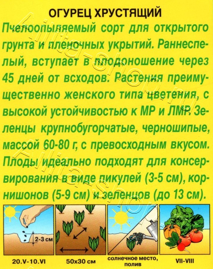 Огурец Хрустящий 10шт