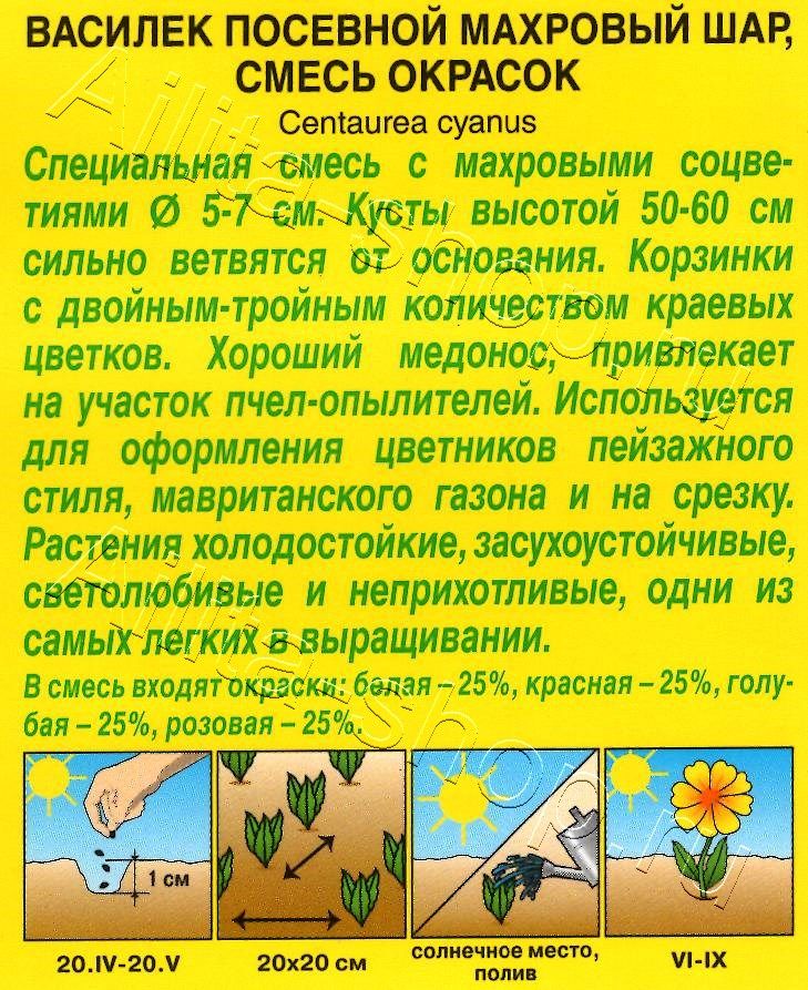 Василек Махровый шар, смесь окрасок 0,5г