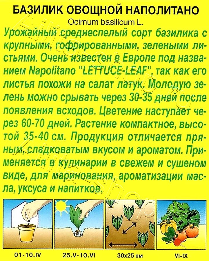 Базилик овощной Наполитано 0,2г