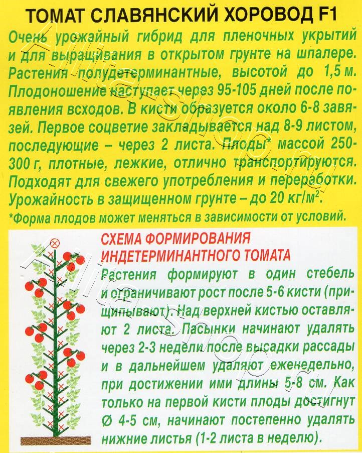 Томат Славянский хоровод F1 15шт