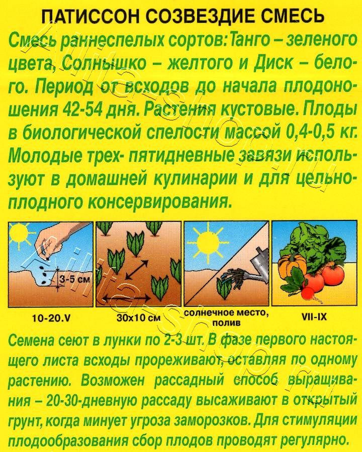 Патиссон Созвездие, смесь 1г