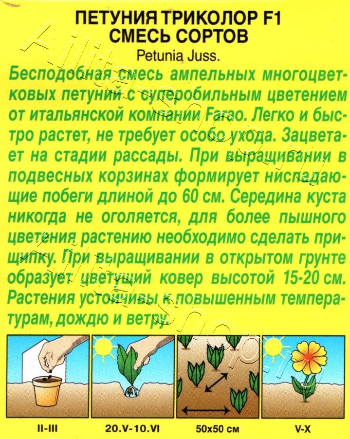 Петуния Триколор F1, смесь окрасок 7шт