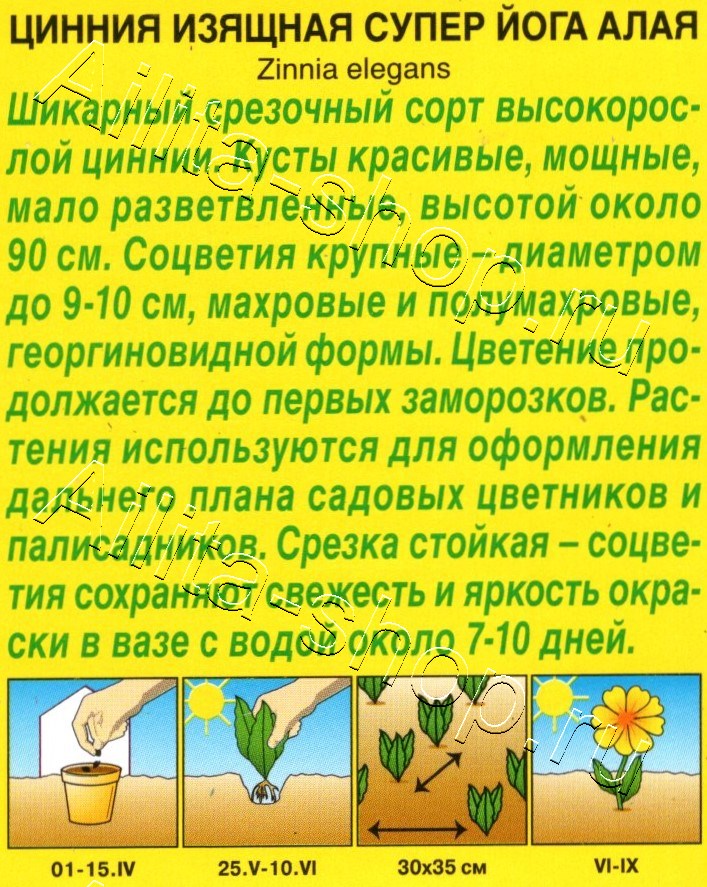 Цинния Супер йога алая 0,3г