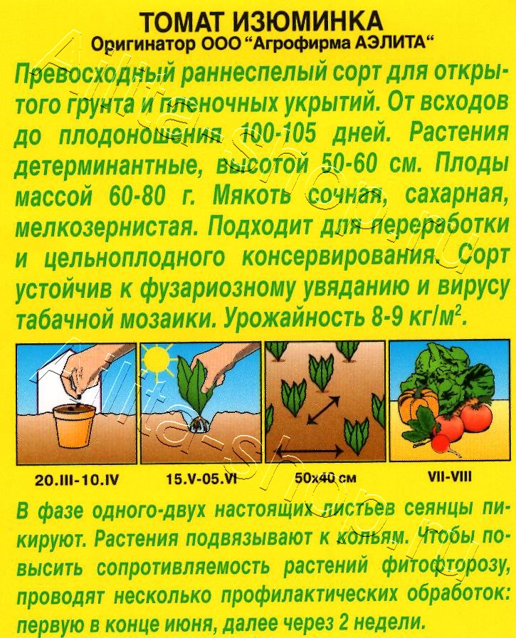 Томат Изюминка 20шт