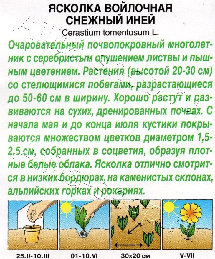 Ясколка Снежный иней 0,1г