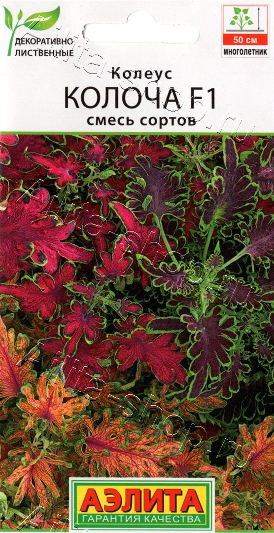 Колеус Колоча F1, смесь сортов 5шт