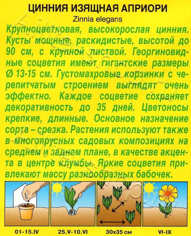 Цинния Априори 0,3г