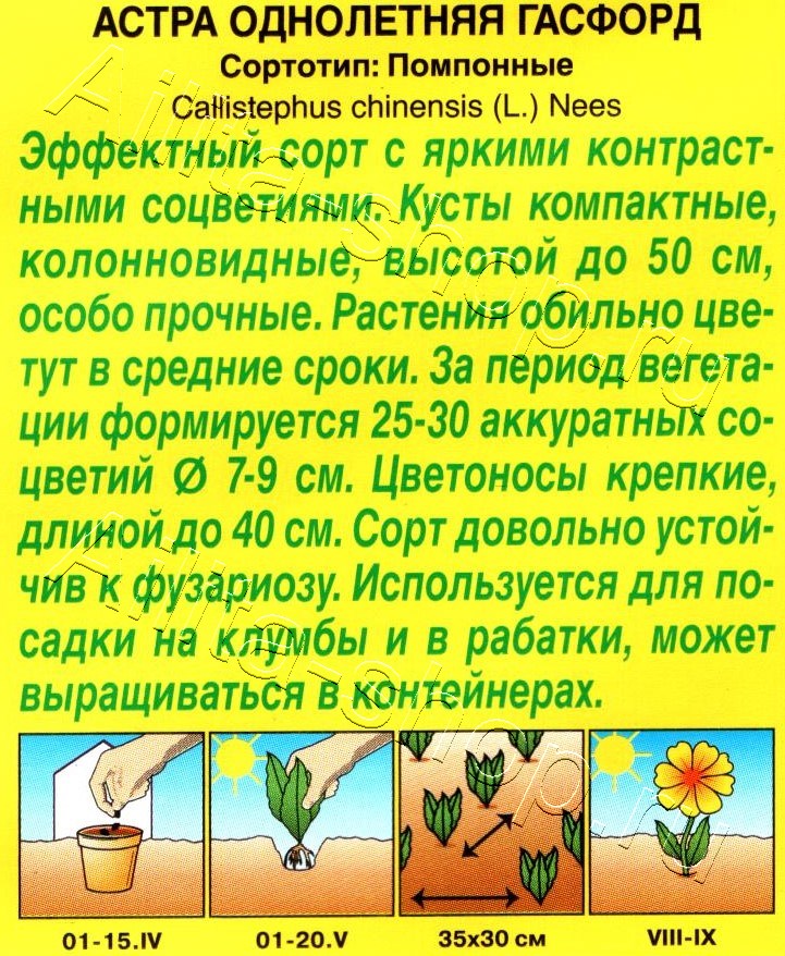 Астра Гасфорд 0,2г