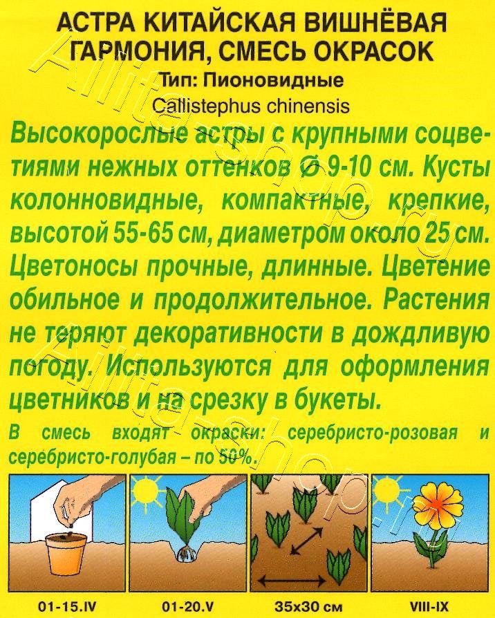 Астра Вишневая гармония, смесь окрасок 0,2г