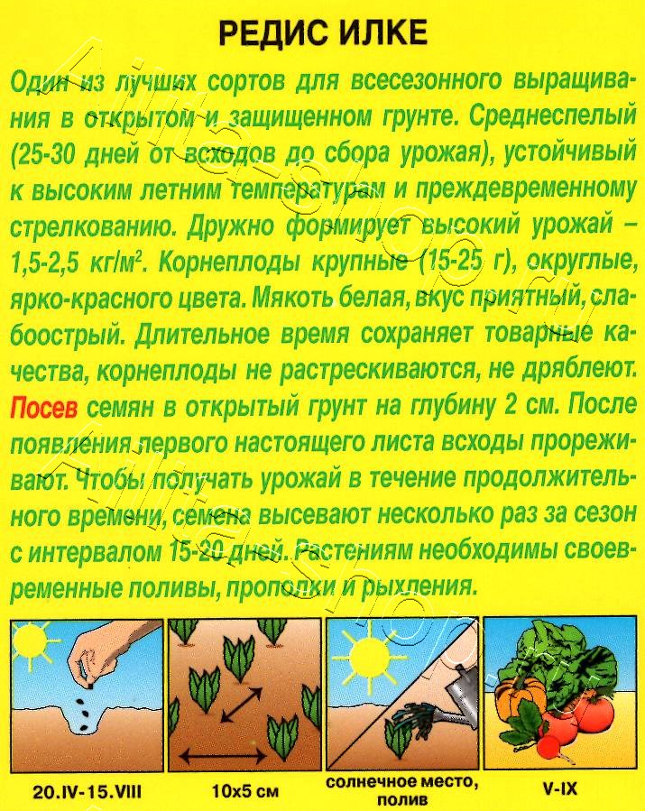 Редис Илке 2г