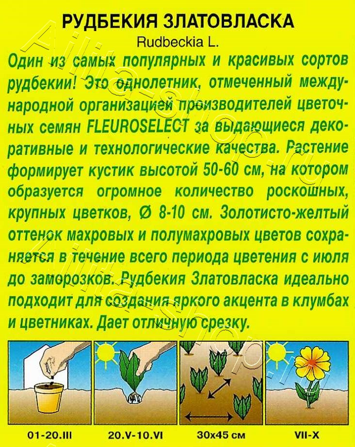 Рудбекия Златовласка 0,1г