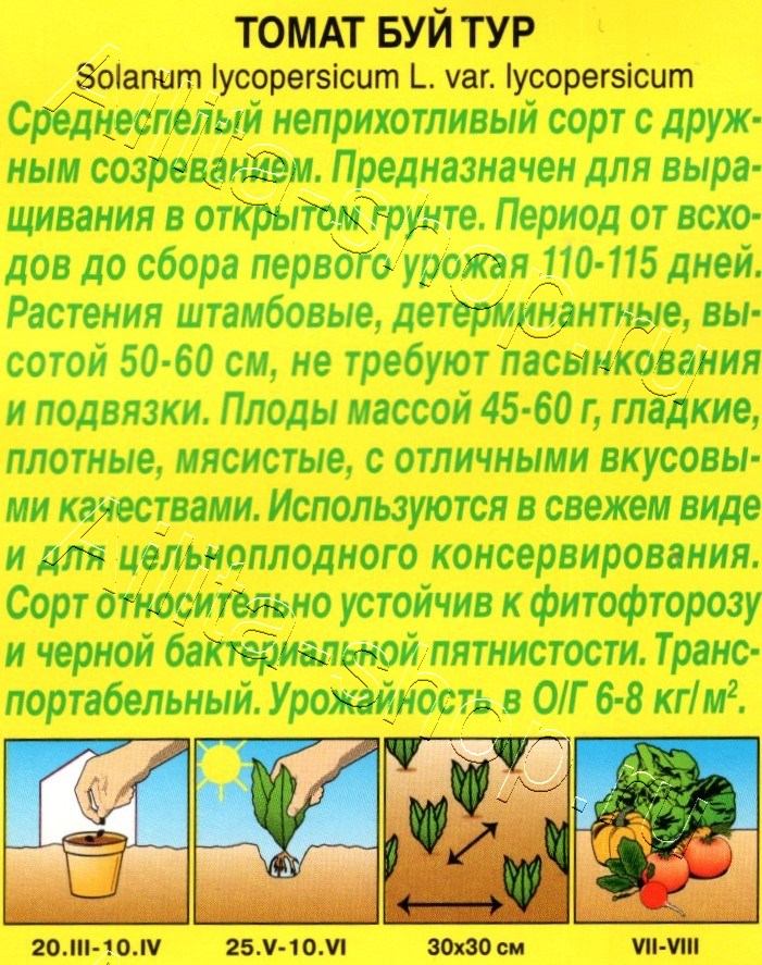 Томат Буй тур 20шт