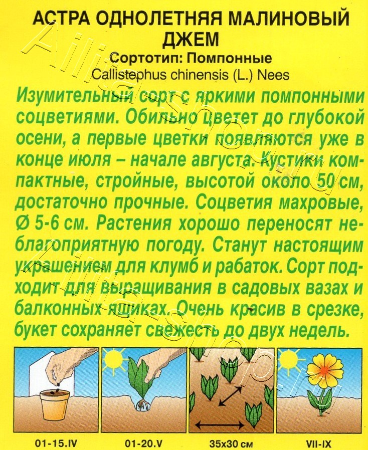 Астра Малиновый джем 0,2г