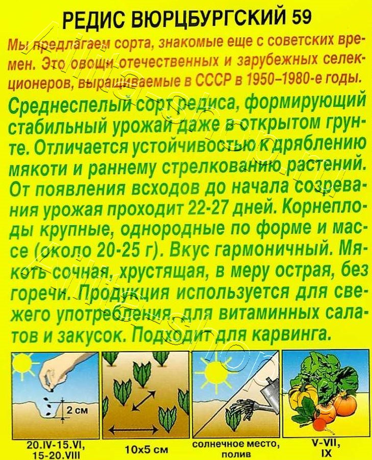 Редис Вюрцбургский 59 2г