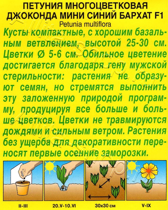 Петуния Джоконда мини F1 синий бархат 5шт