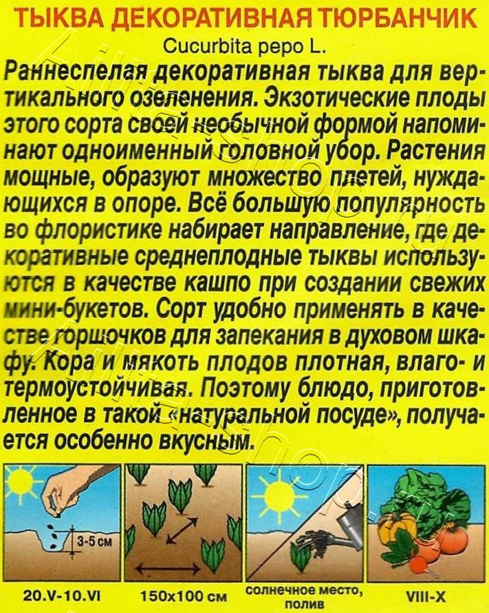 Тыква декоративная Тюрбанчик 1г