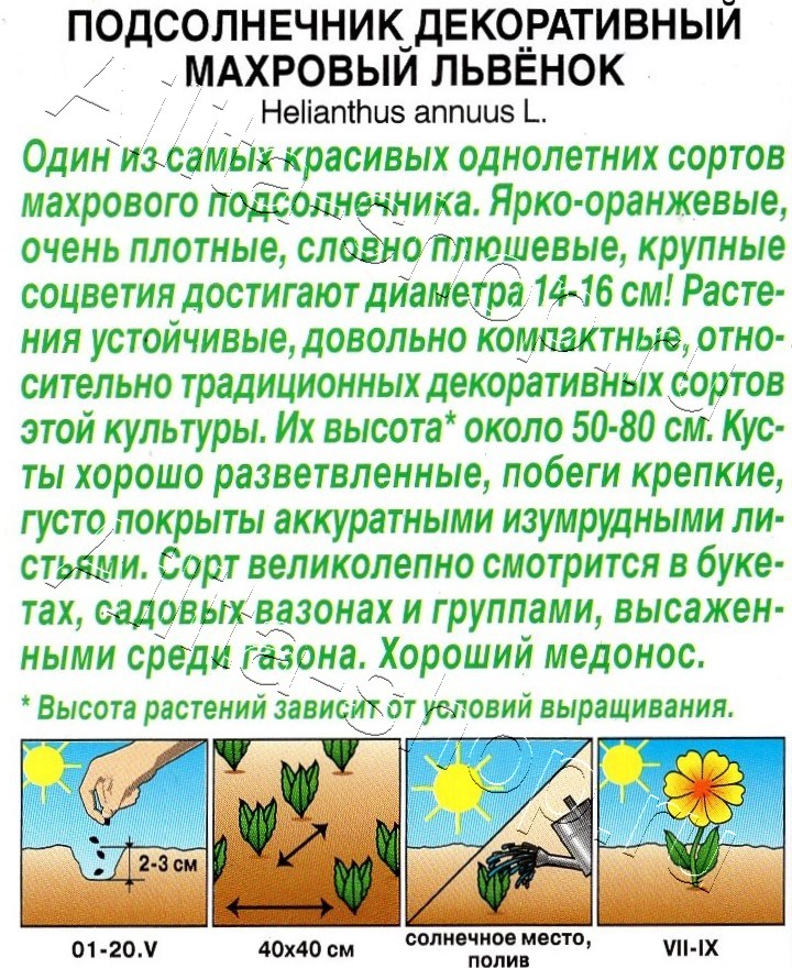 Подсолнечник Махровый Львенок 0,5г