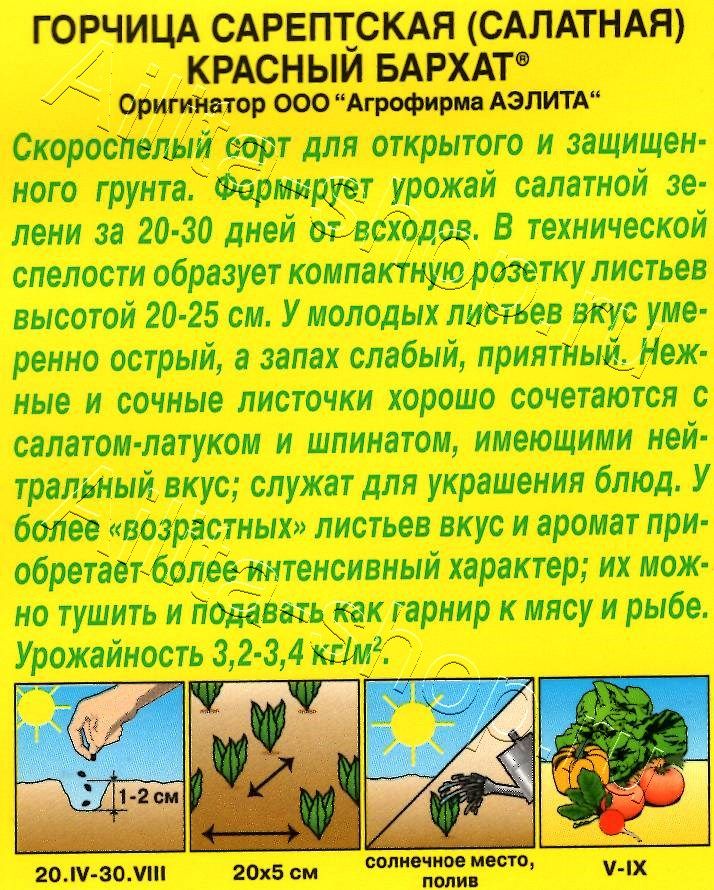 Горчица салатная Красный бархат 0,5г