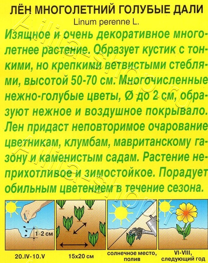 Лен многолетний Голубые дали 0,1г