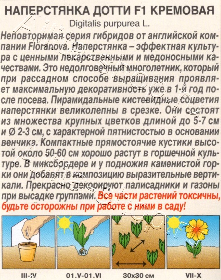 Наперстянка Дотти F1 кремовая 5шт