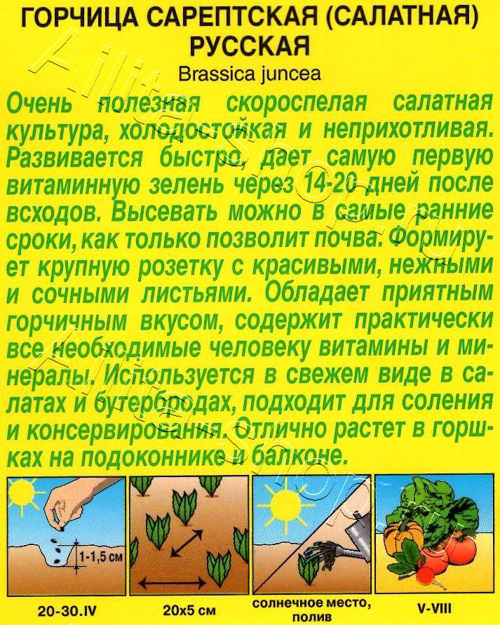 Горчица салатная Русская 0,5г