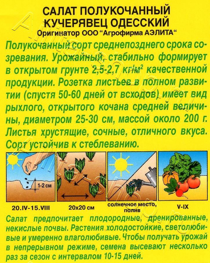 Салат Кучерявец Одесский полукочанный 0,5г