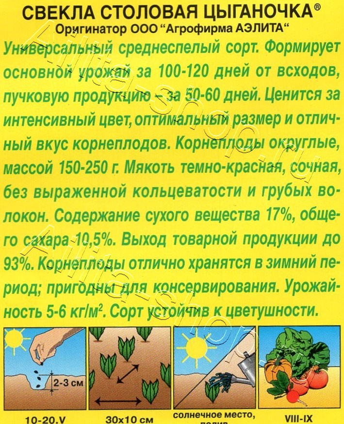 Свекла столовая Цыганочка 3г