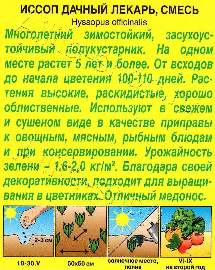 Иссоп Дачный лекарь, смесь окрасок 0,1г