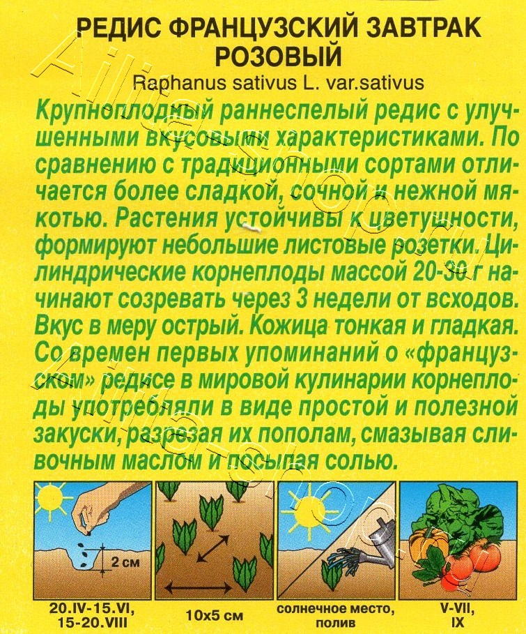 Редис Французский завтрак розовый 2г