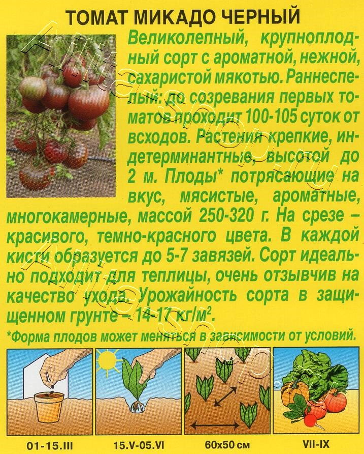 Томат Микадо черный 20шт