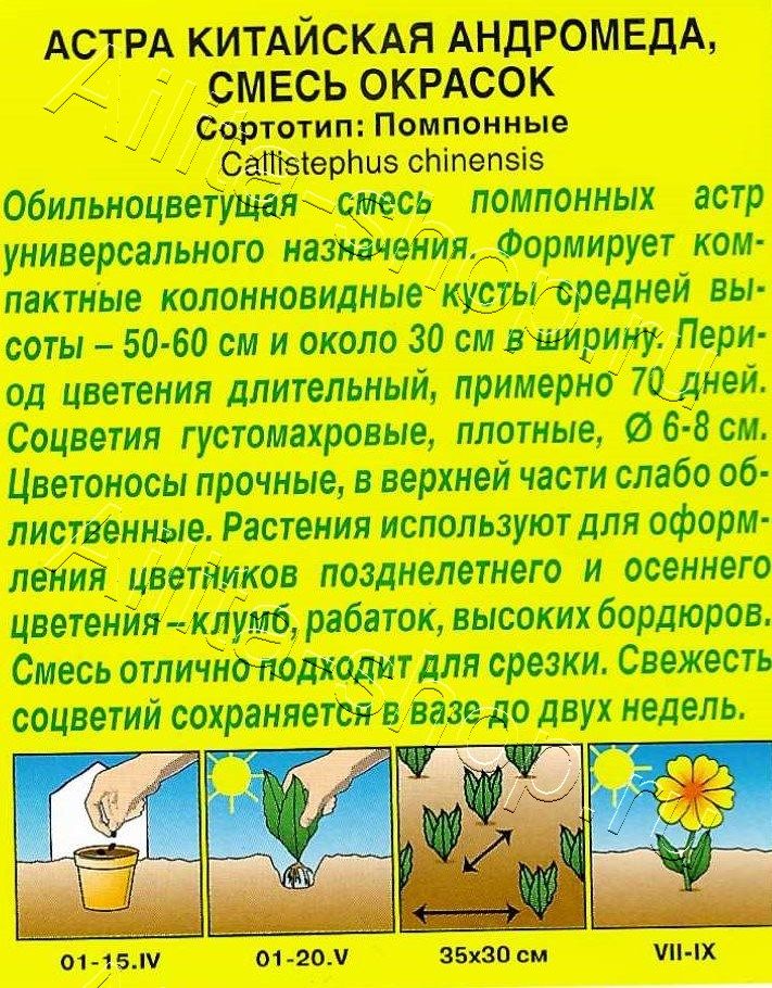 Астра Андромеда, смесь окрасок 0,2г