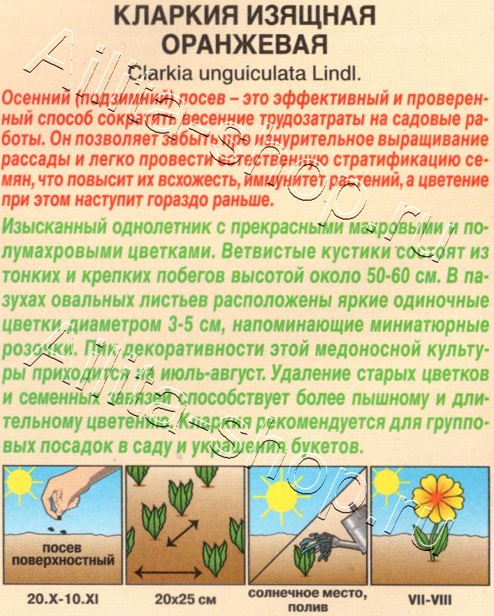 Кларкия изящная Оранжевая 0,1г