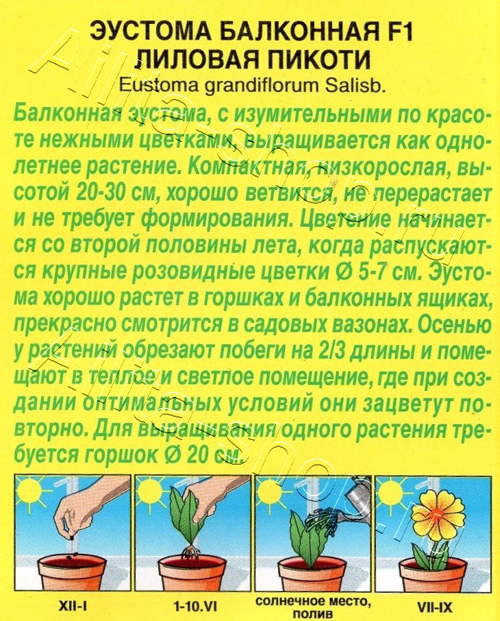 Эустома Балконная F1 лиловая пикоти 5шт