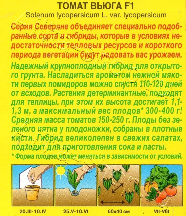 Томат Вьюга F1 10шт