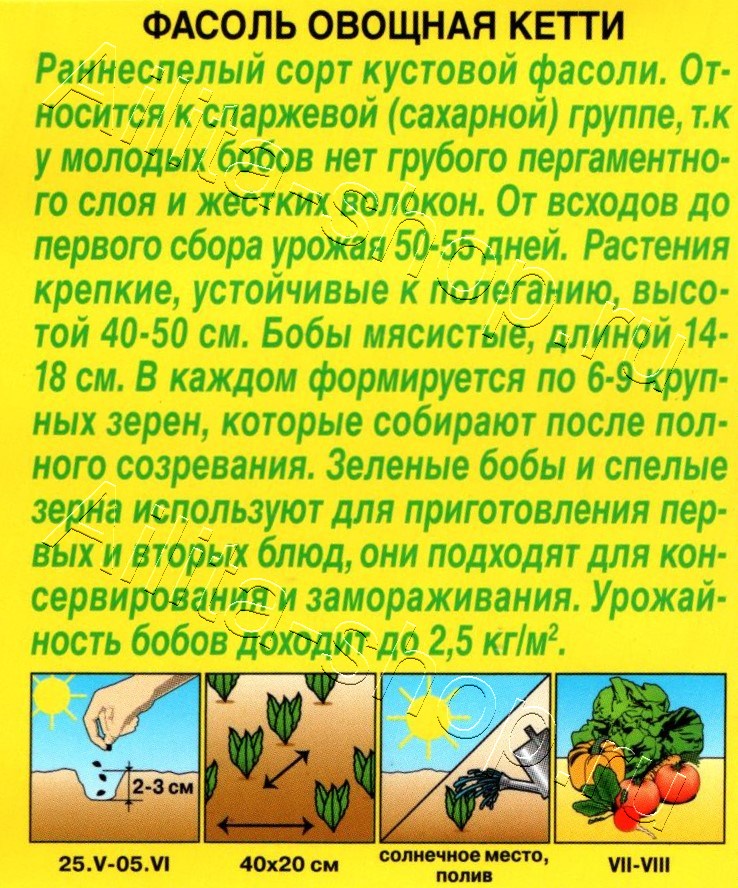 Фасоль овощная Кетти 5г