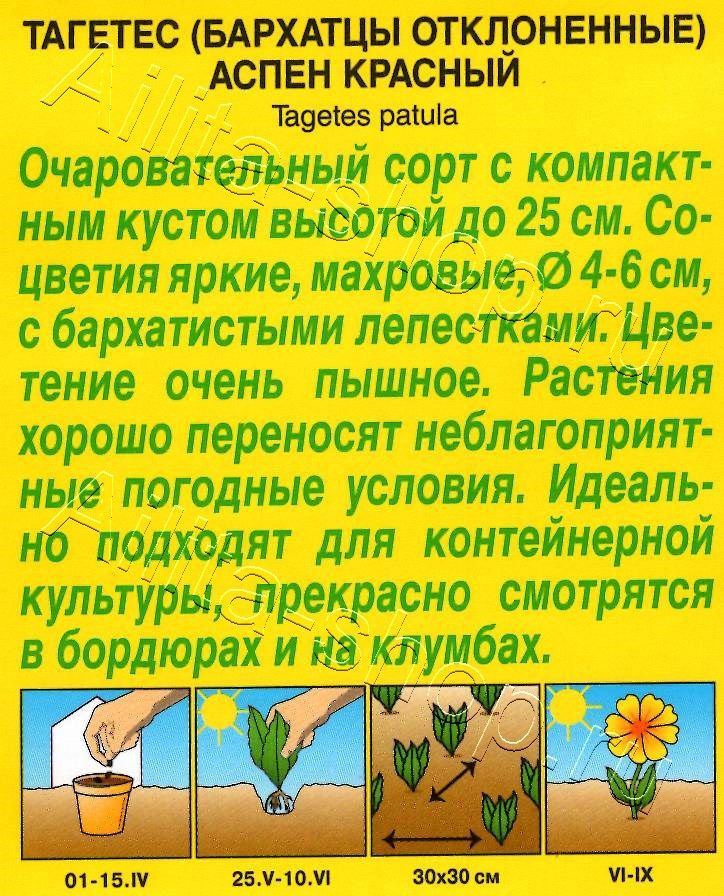 Бархатцы Аспен красный 0,1г