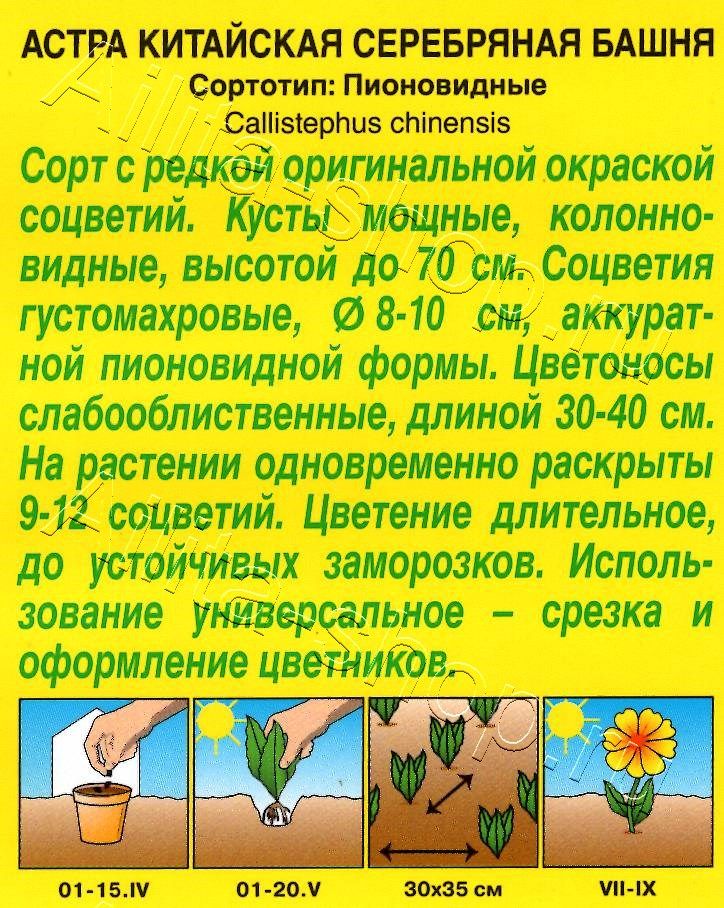 Астра Серебряная башня 0,2г