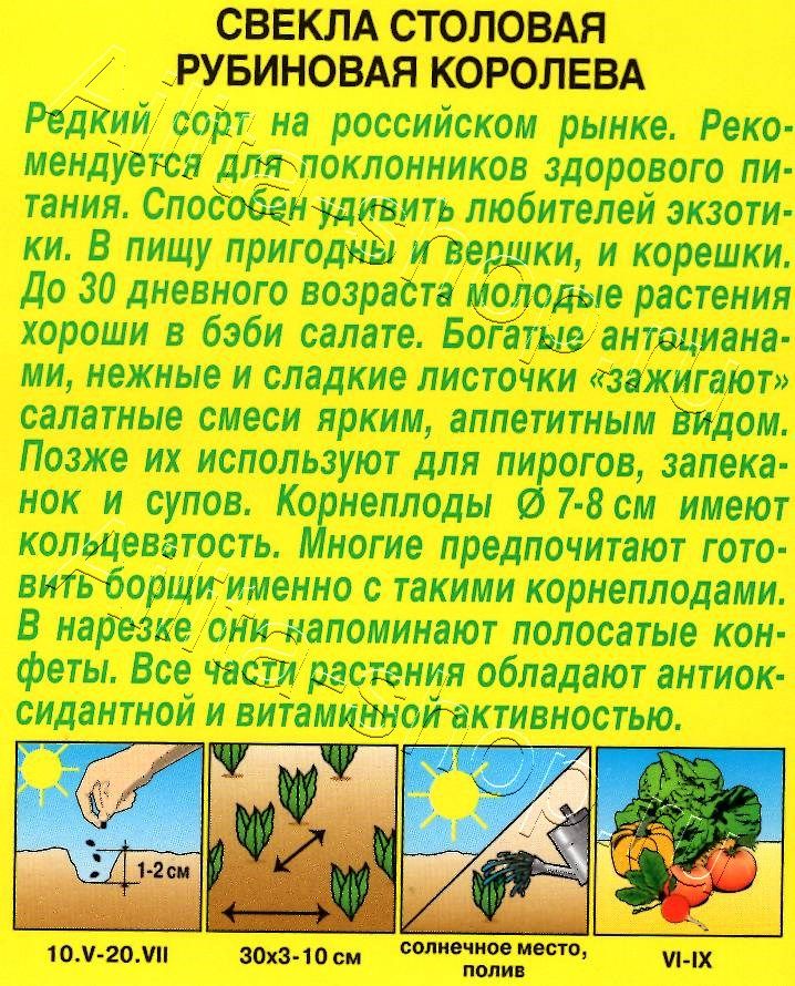 Свекла столовая Рубиновая королева 2г